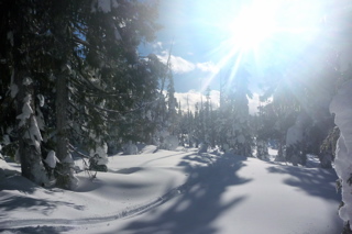 Glade skiing in Mount Washington