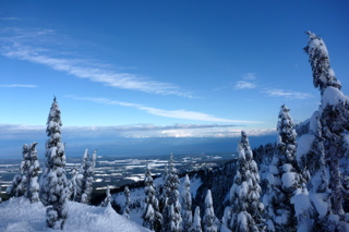 Glade skiing in Mount Washington