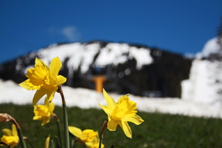 Mount Washington open Canada Day