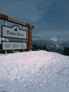 Fernie ski guide, BC