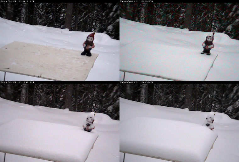 Gnorm the Gnome, Revelstoke Mountain Resort