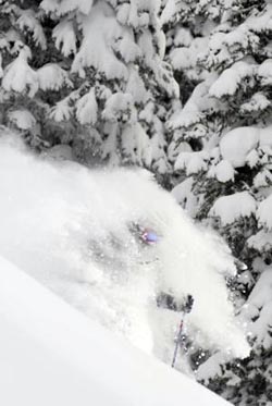 Island Lake Cat Skiing, Fernie, BC Canada