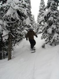 Snowboarder in Glades at Powder King Ski Resort
