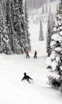 Snowboarding Revelstoke Mountain Resort, B.C