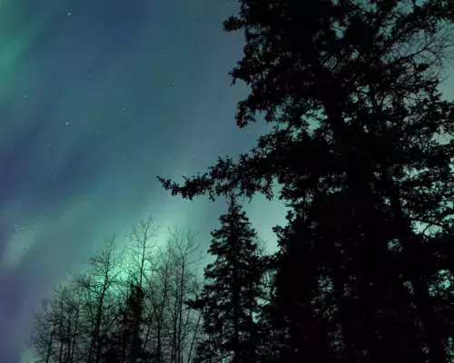 Northern Lights