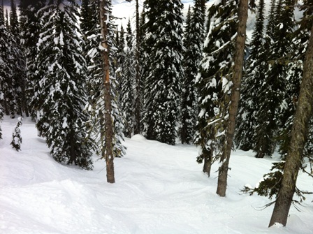 Revelstoke's Top 10 runs