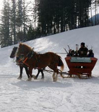 Fernie Alpine Resort, BC Canada