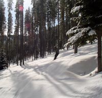 Kimberley Ski Resort, BC Canada