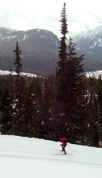 Nordic Skiing Mount Washington, BC