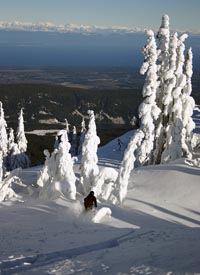 Mount Washington Resort, BC Canada