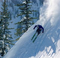 Skier at Fernie, BC Canada
