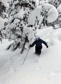 Revelstoke Mountain Resort, British Columbia, Canada