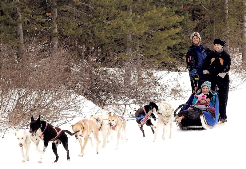 howling husky sled tours