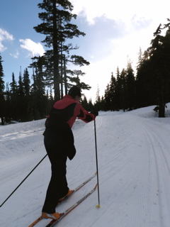 Nordic skiing at Mount Washington, BC
