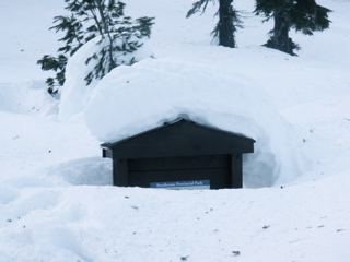 Nordic skiing at Mount Washington, BC