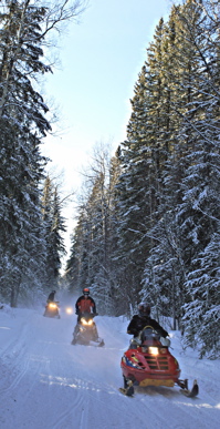 Snowmobiling in Whitecourt, AB