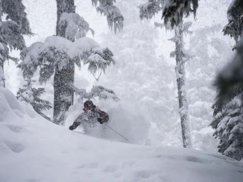 Skiing in Western Canada