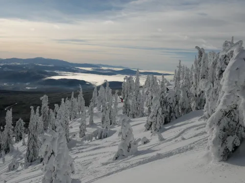 Baldy Mountain Resort Skiers-Distance Credit SnowSeekers Photographer Chris Wheeler
