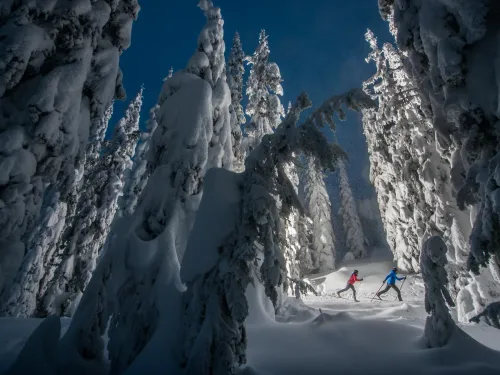 cross-country skiers at night at SilverStar