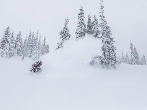 Powder King Ski North BC
