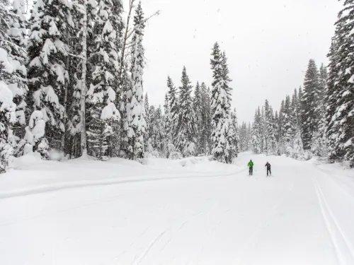 Two people cross country ski while it snows in Smithers BC