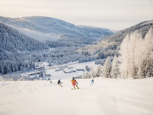 Skiing Troll Resort near Quesnel BC
