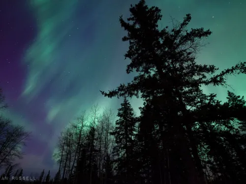Northern Lights