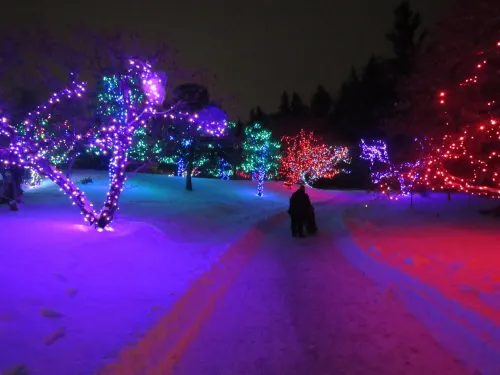 winter lights festival