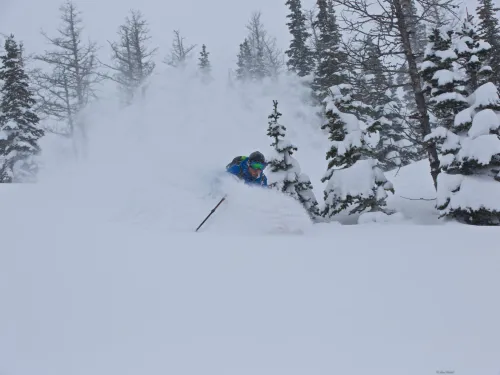 Powder at Castle Mountain