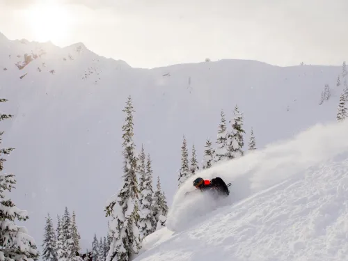 Kicking Horse Mountain Resort