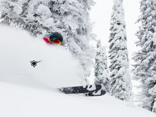 Fernie