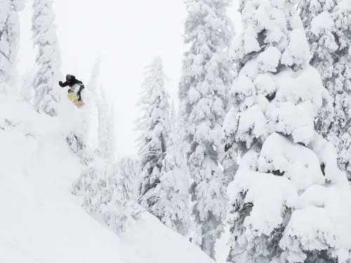 Fernie