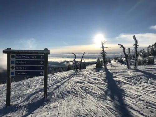 Baldy Mountain Resort 