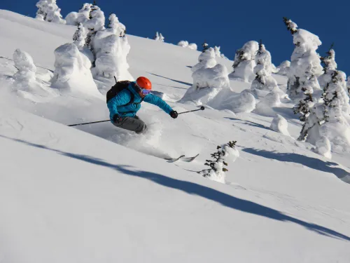 Snowy skiier