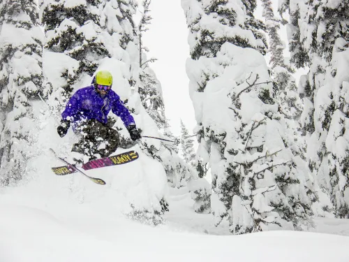 Powder King