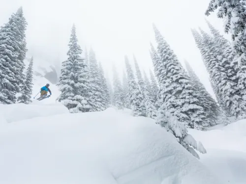 Red Mountain Resort