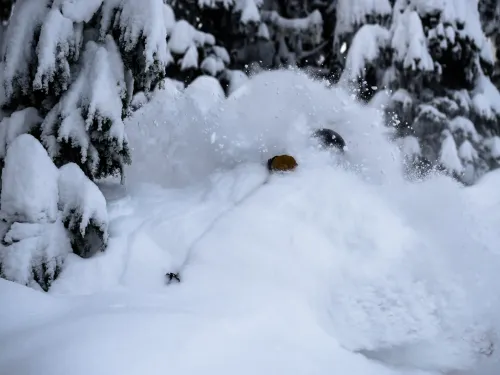 Whistler Blackcomb