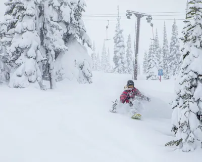 Powder King