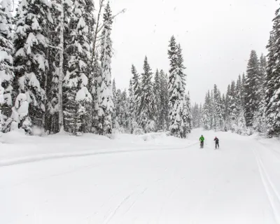 Two people cross country ski while it snows in Smithers BC
