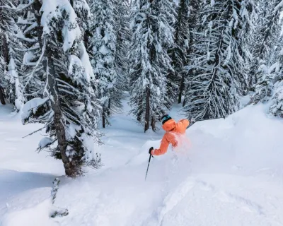 Skier in trees at Revelstoke Mountain Resort Hywel Williams