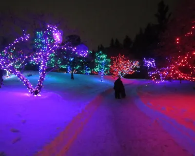 winter lights festival
