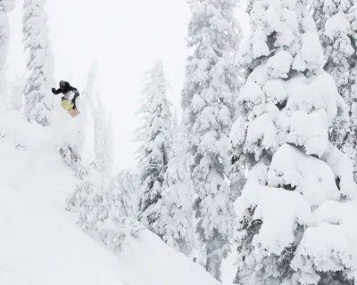Fernie