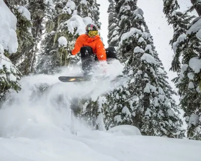 Whistler powder day