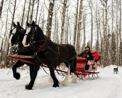 Sleighing B & T Rides Smithers BC Marty Clemens