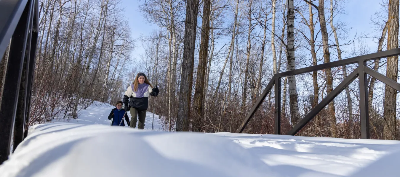 Vermilion Alberta #SkiNorthAB Cross Country Skiing 