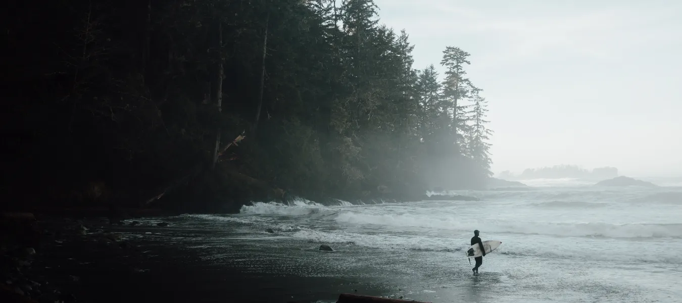 Tofino