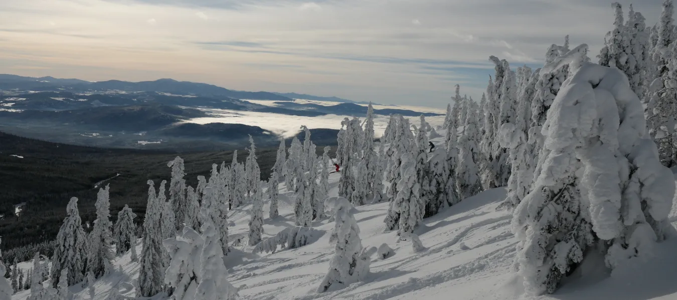Baldy Mountain Resort 