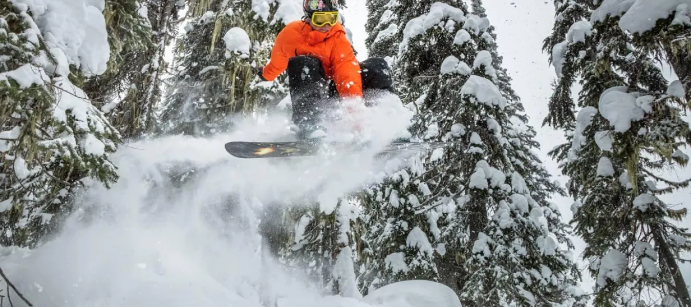 Whistler powder day