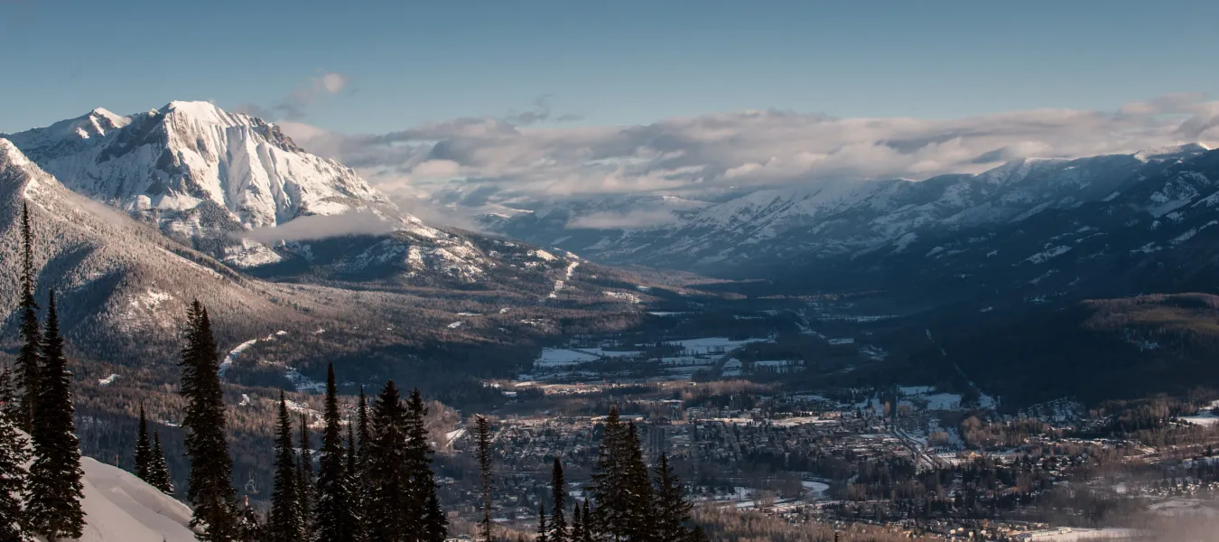 Fernie