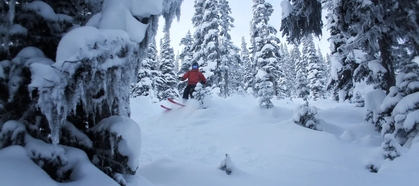 Hudson Bay Mountain 